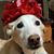 Gina Reed's profile image
