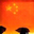 Yonghang Xu's profile image