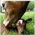 Dixie Smith's profile image