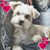 Maria Solis's profile image