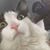 Don Ciochon's profile image