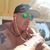 Sean Bonar's profile image