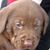 Ken Joslin's profile image