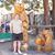 Rob Hofstetter's profile image