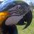 Wanda Cooper's profile image