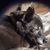 Karen Connor's profile image