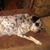 Rhonda Black Gielen's profile image
