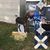 Jean Macomber's profile image