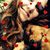 Colleen Kelly Barkley's profile image