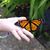 Amanda Beth's profile image