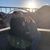 Yumayra Salgado's profile image