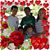 Soledad B. Page's profile image