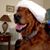 Becki Ash Broda's profile image
