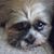 Michael Furtado's profile image