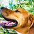 Kelly Nilsson's profile image
