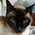 Jill Hart Gulick's profile image