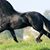 Kathleen Mckeever-Sellers's profile image