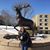 Christine Tiernan Hanlon's profile image
