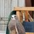 Debra Burton's profile image
