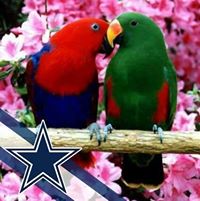 Maggie Wright's profile image