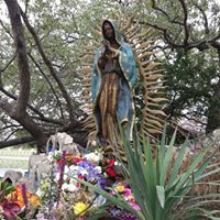 Jc Y Dina Love's profile image