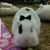 Loretta Medure Roush's profile image