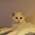 Julie Betts's profile image