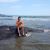 Sandi Litchfield's profile image