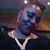 FelonieIpretty Robinson's profile image