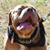John Leisten Jr's profile image