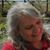 Sandy Laba's profile image