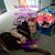 Krista Danelle's profile image