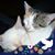 Lisa Dodge's profile image