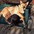 Kelly Trimble's profile image
