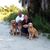 Jessica Robinson Hoskins's profile image