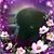 James Allen's profile image
