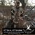 Chad Brummel's profile image