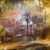 Amy Neubecker's profile image