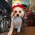 Mary Corkery Larson's profile image