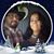 Roy Mojica's profile image