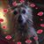Petey Smith's profile image