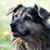 Kay Gould Tolley's profile image