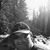 Jennifer Steve Jones's profile image