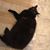Joi Holcomb's profile image