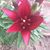 Jenny White-Ridder's profile image