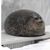Linzi Wiggins's profile image