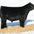 Al Vary's profile image