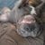 Tiffany Sorber's profile image