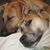 Eileen Lewis-Gentry's profile image