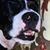 Marguerite Girard's profile image